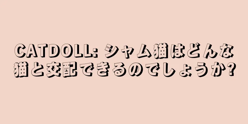 CATDOLL: シャム猫はどんな猫と交配できるのでしょうか?