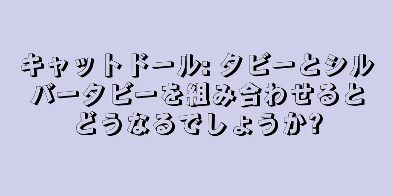 キャットドール: タビーとシルバータビーを組み合わせるとどうなるでしょうか?