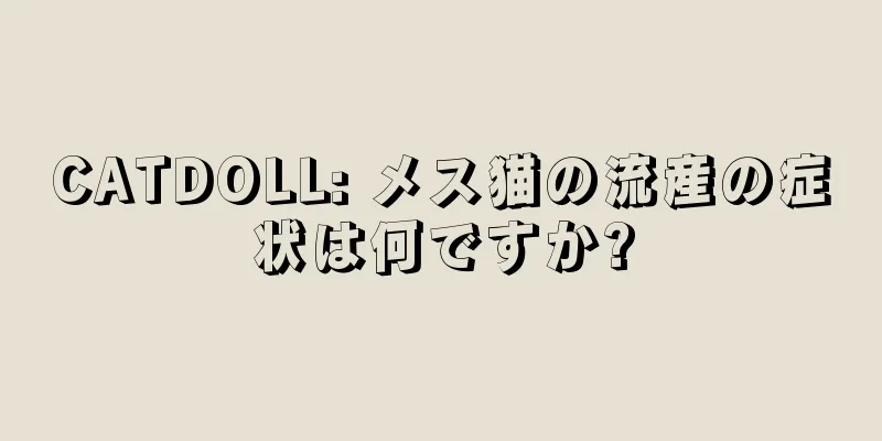 CATDOLL: メス猫の流産の症状は何ですか?
