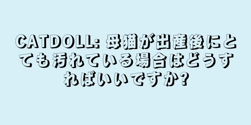 CATDOLL: 母猫が出産後にとても汚れている場合はどうすればいいですか?