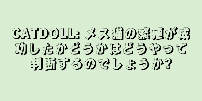 CATDOLL: メス猫の繁殖が成功したかどうかはどうやって判断するのでしょうか?