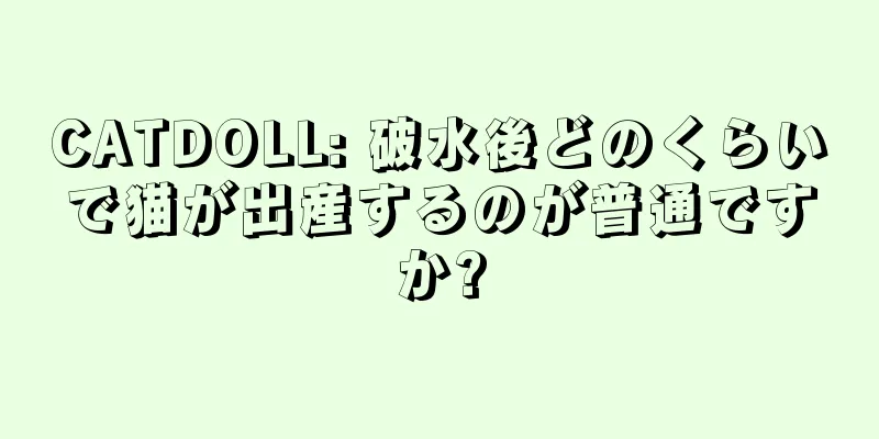 CATDOLL: 破水後どのくらいで猫が出産するのが普通ですか?