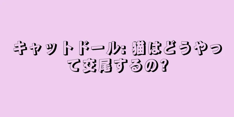 キャットドール: 猫はどうやって交尾するの?