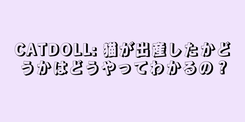 CATDOLL: 猫が出産したかどうかはどうやってわかるの？