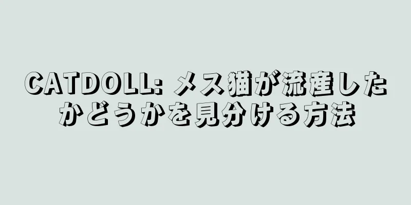 CATDOLL: メス猫が流産したかどうかを見分ける方法