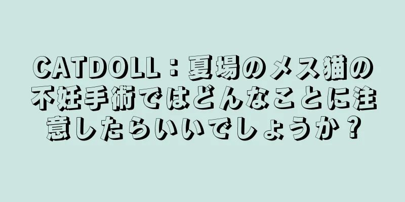 CATDOLL：夏場のメス猫の不妊手術ではどんなことに注意したらいいでしょうか？