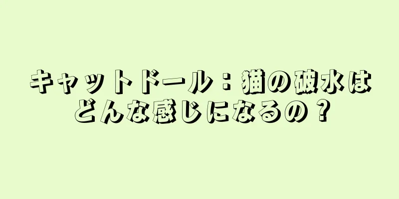 キャットドール：猫の破水はどんな感じになるの？