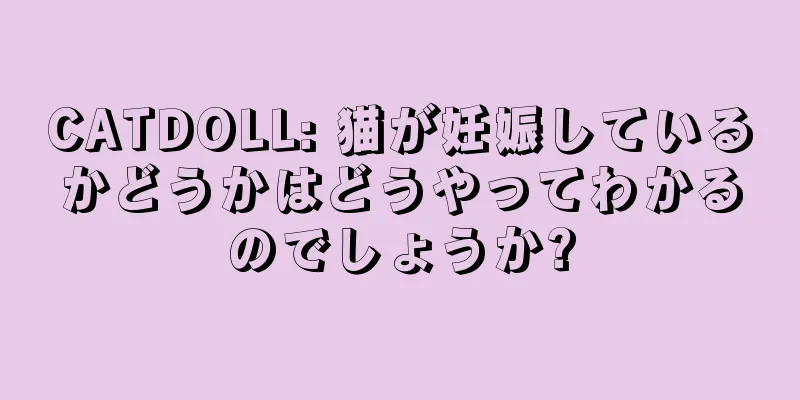 CATDOLL: 猫が妊娠しているかどうかはどうやってわかるのでしょうか?