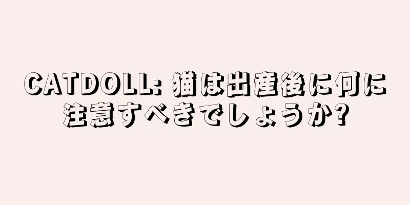 CATDOLL: 猫は出産後に何に注意すべきでしょうか?