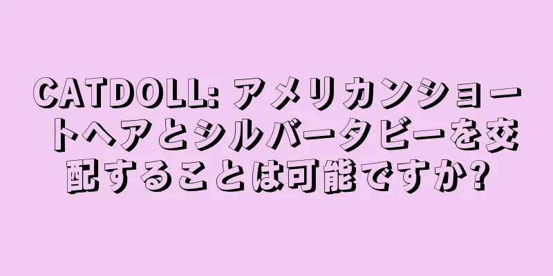 CATDOLL: アメリカンショートヘアとシルバータビーを交配することは可能ですか?