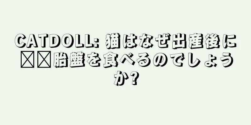 CATDOLL: 猫はなぜ出産後に​​胎盤を食べるのでしょうか?