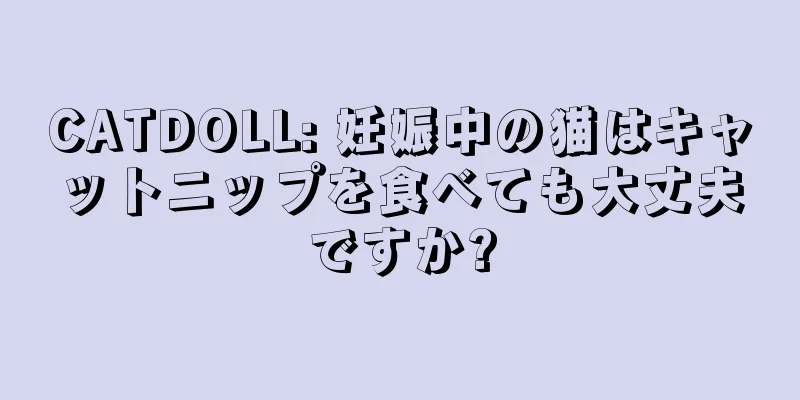 CATDOLL: 妊娠中の猫はキャットニップを食べても大丈夫ですか?