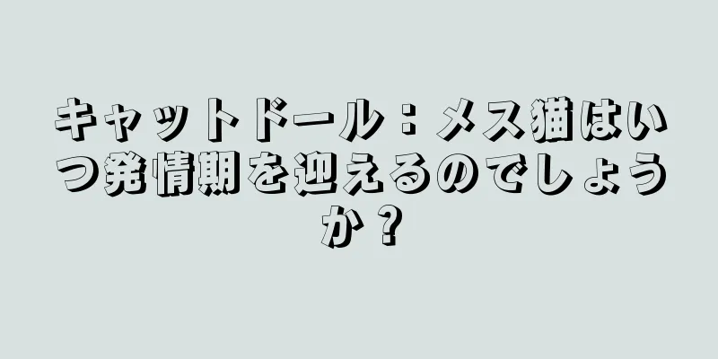 キャットドール：メス猫はいつ発情期を迎えるのでしょうか？